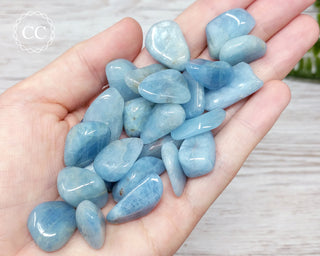 Aquamarine Tumbled Crystals in hand