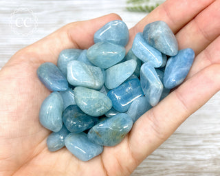 Small Aquamarine Tumbled Crystals in hand close up