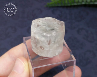Aquamarine and Morganite Crystal #1