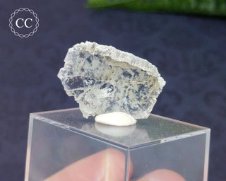 Aragonite Slice Specimen Spain #12