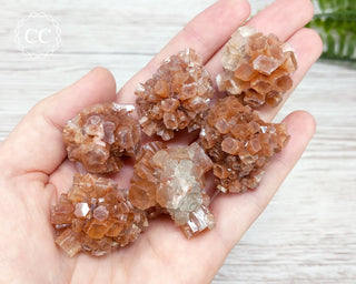 Small Aragonite Sputnik