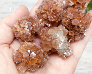 Small Aragonite Sputnik