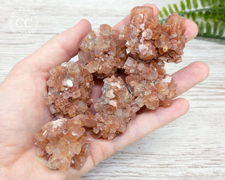 Medium Aragonite Sputnik raw crystal