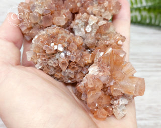 Medium Aragonite Sputnik