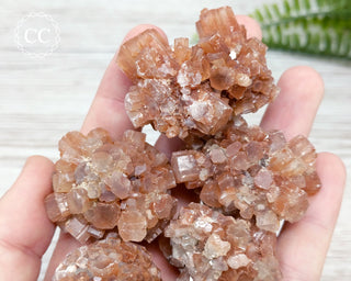 Medium Aragonite Sputnik