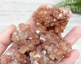 Medium Aragonite Sputnik