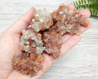 Medium Aragonite Sputnik