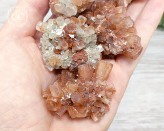 Medium Aragonite Sputnik