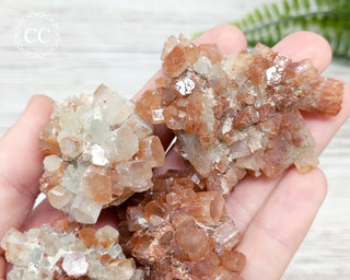 Medium Aragonite Sputnik