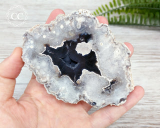 Argentina Agate Geode Slice #3