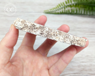 Argentina Agate Geode Slice #3