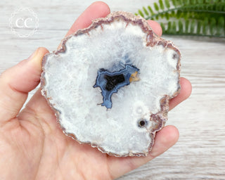Argentina Agate Geode Slice #4