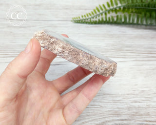 Argentina Agate Geode Slice #4