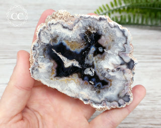 Argentina Agate Geode Slice #5