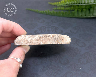 Argentinian Agate Slice #1