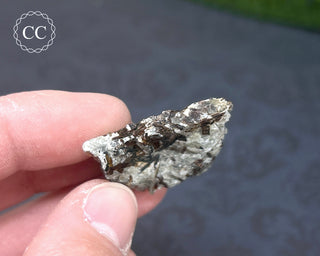 Astrophyllite Specimen #1