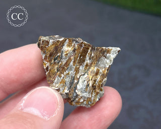 Astrophyllite Specimen #1
