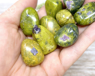 Atlantisite Tumbled Crystal