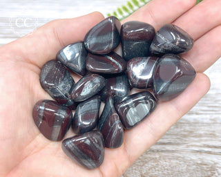Ancestralite Tumbled Crystals in hand