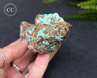 Aurichalcite Specimen #6