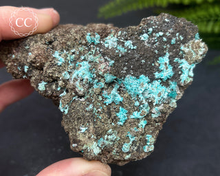 Aurichalcite Specimen #1