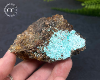 Aurichalcite Specimen #2