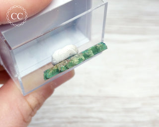 Azurite & Malachite Slice Kazakhstan #6