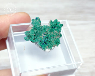Azurite & Malachite Slice Kazakhstan #10
