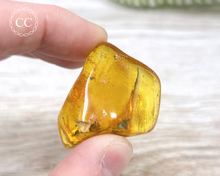 Baltic Amber #2