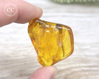 Baltic Amber #2