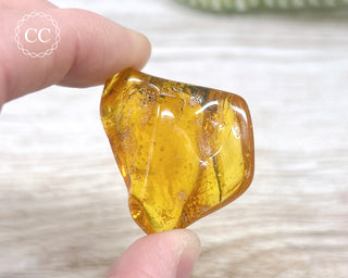 Baltic Amber #2