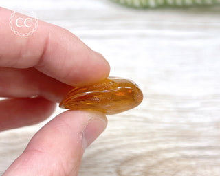 Baltic Amber #2