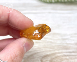 Baltic Amber #2