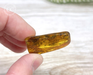 Baltic Amber #3