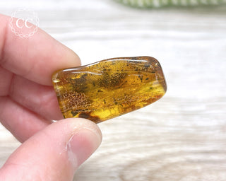 Baltic Amber #3