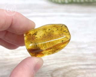 Baltic Amber #3