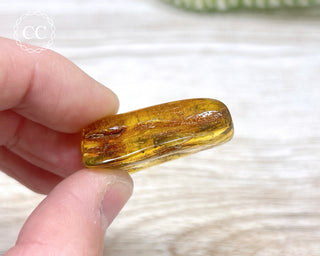 Baltic Amber #3