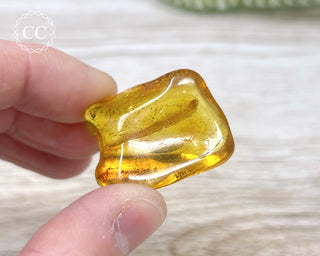 Baltic Amber #4