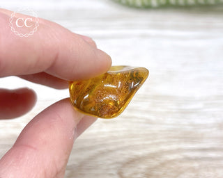 Baltic Amber #4