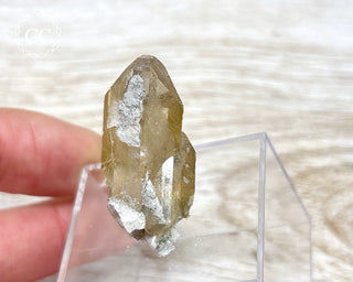 Baryte Crystal - Linwood Mine #2