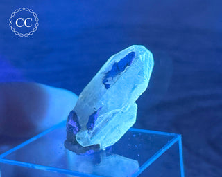 Baryte Crystal - Linwood Mine #2