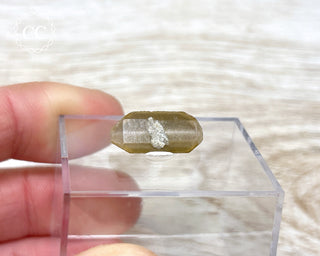 Baryte Crystal - Linwood Mine #4