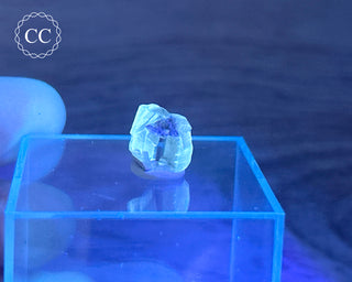 Baryte Crystal - Linwood Mine #5