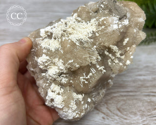 Baryte Specimen - Linwood Mine #6