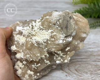 Baryte Specimen - Linwood Mine #6