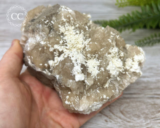 Baryte Specimen - Linwood Mine #6