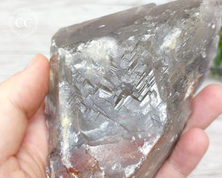 Tabular Baryte with Marcasite Inclusions - Aouam, Morocco #4