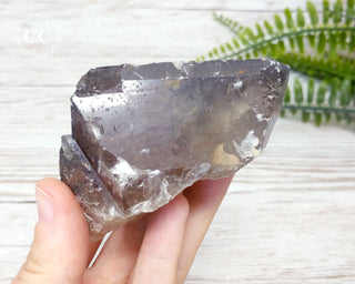 Tabular Baryte with Marcasite Inclusions - Aouam, Morocco #5