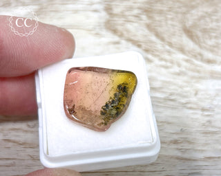Bi Colour Tourmaline Polished #31