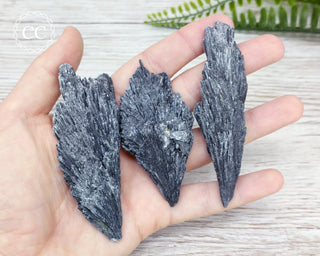 Black Kyanite Crystal Fan